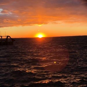 Meet your Posher, Meghan